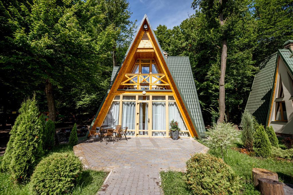 Buhta Vikingiv Hotel Vodniki Bagian luar foto